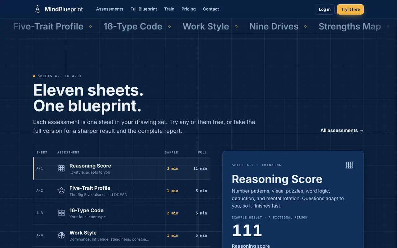 The eleven assessments listed on the MindBlueprint website